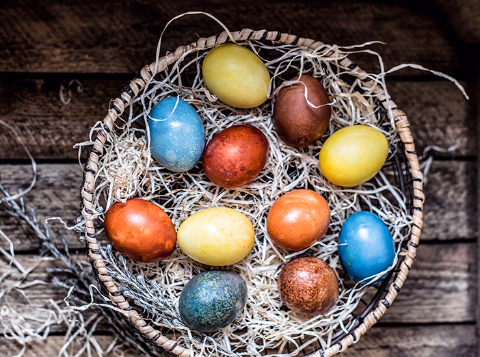 Homeschool Science: Eggstraordinary Eggs image